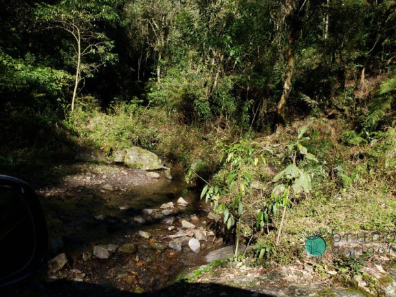 Imagem Imóvel à Venda, em Zona Rural - Alfredo Wagner Imagem Imóvel à Venda, em Zona Rural - Alfredo Wagner