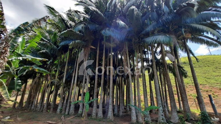 Imagem Chácara com 1 Quarto à Venda, 90 m² em Centro - Paraibuna Imagem Chácara com 1 Quarto à Venda, 90 m² em Centro - Paraibuna