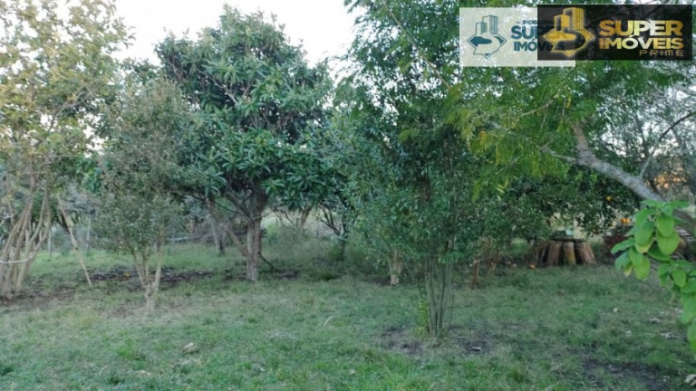 Imagem Imóvel com 2 Quartos à Venda, 260.000 m² em Centro - Piratini