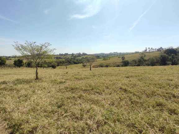 Imagem Chácara com 4 Quartos à Venda, 242 m² em Cercadinho - Alambari Imagem Chácara com 4 Quartos à Venda, 242 m² em Cercadinho - Alambari