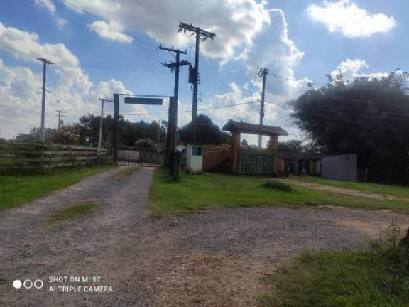 Imagem Chácara com 4 Quartos à Venda, 2.000 m² em Alambari