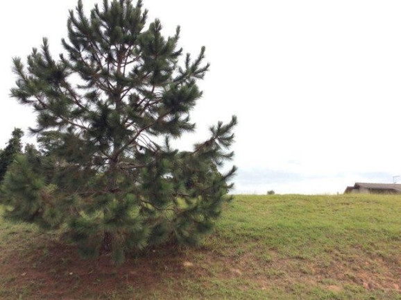Imagem Terreno à Venda, 500 m² em Santa Adélia - Vargem Grande Paulista Imagem Terreno à Venda, 500 m² em Santa Adélia - Vargem Grande Paulista