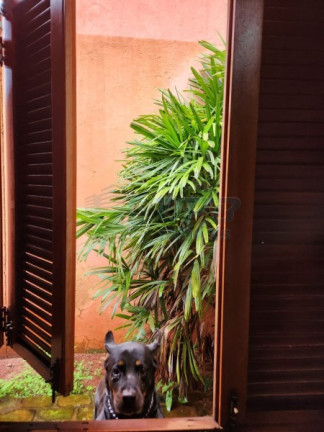 Imagem Casa à Venda, 250 m² em Jardim Califórnia - Ribeirão Preto Imagem Casa à Venda, 250 m² em Jardim Califórnia - Ribeirão Preto