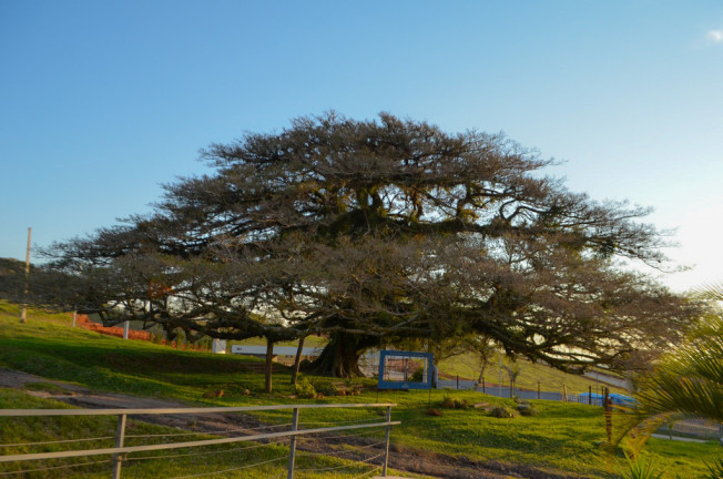 Imagem Terreno à Venda, 380 m² em Coronel Nassuca - Guaíba Imagem Terreno à Venda, 380 m² em Coronel Nassuca - Guaíba