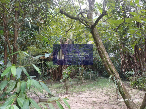 Imagem Casa com 4 Quartos à Venda, 1 m² em Cabeceira Do Sana - Casimiro De Abreu Imagem Casa com 4 Quartos à Venda, 1 m² em Cabeceira Do Sana - Casimiro De Abreu