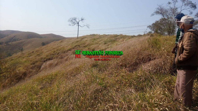 Imagem Chácara com 2 Quartos à Venda, 1.200.000 m² em Centro - Caçapava Imagem Chácara com 2 Quartos à Venda, 1.200.000 m² em Centro - Caçapava