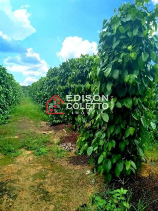 Imagem Fazenda à Venda, 6.000.000 m² em Centro - Itamaraju