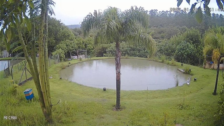Imagem Chácara com 3 Quartos à Venda, 5.000 m² em Margens Da Raposo Tvares - Alambari Imagem Chácara com 3 Quartos à Venda, 5.000 m² em Margens Da Raposo Tvares - Alambari