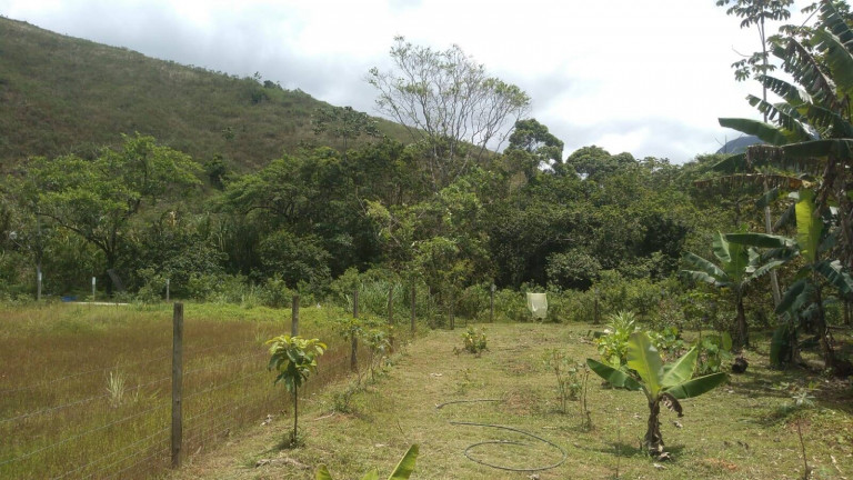 Imagem Chácara com 1 Quarto à Venda, 1.000 m² em Praia Da Maranduba - Ubatuba