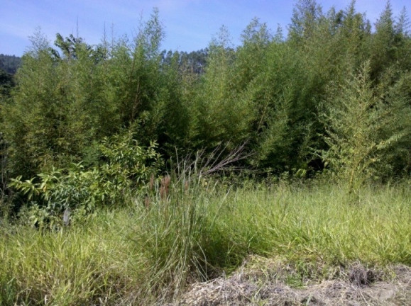 Imagem Chácara à Venda, 3.296 m² em Sitio Pedro Leonardo - Guararema Imagem Chácara à Venda, 3.296 m² em Sitio Pedro Leonardo - Guararema