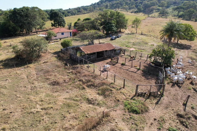 Imagem Chácara à Venda, 15 m² em Zona Rural - Santo Antônio Da Alegria Imagem Chácara à Venda, 15 m² em Zona Rural - Santo Antônio Da Alegria