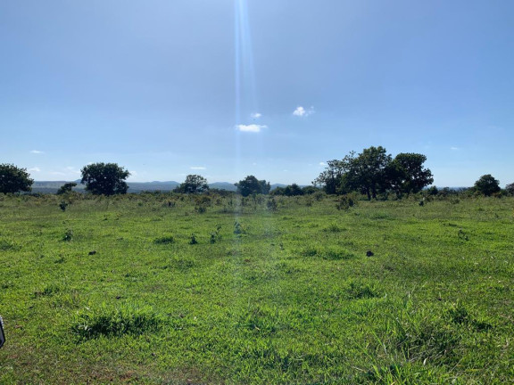 Imagem Fazenda à Venda, 440 m² em Rural - Campo Grande