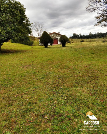 Imagem Imóvel com 3 Quartos à Venda, 80.000 m² em Estância Grande - Viamão