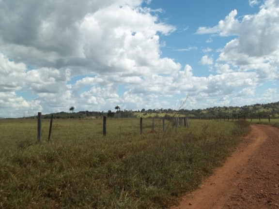 Imagem Fazenda à Venda, 222 m² em Zona Rural - Professor Jamil Imagem Fazenda à Venda, 222 m² em Zona Rural - Professor Jamil