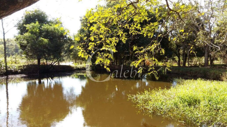 Imagem Chácara com 3 Quartos à Venda, 43.000 m² em Artur Nogueira Imagem Chácara com 3 Quartos à Venda, 43.000 m² em Artur Nogueira