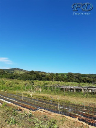 Imagem Chácara à Venda, 75.000 m² em Tanque - Atibaia Imagem Chácara à Venda, 75.000 m² em Tanque - Atibaia