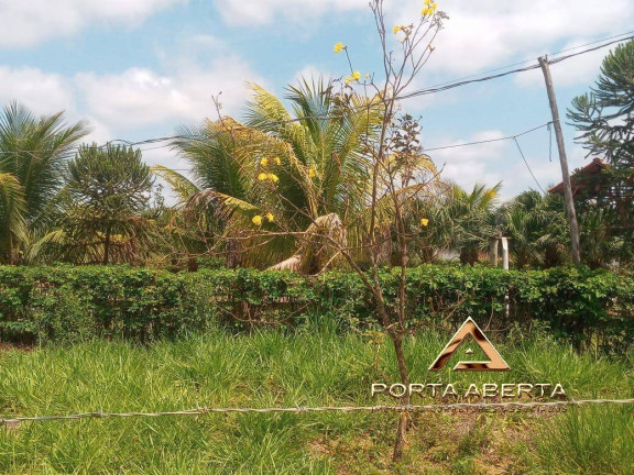Imagem Terreno à Venda, 4.000 m² em Bom Jesus Do Galho Imagem Terreno à Venda, 4.000 m² em Bom Jesus Do Galho