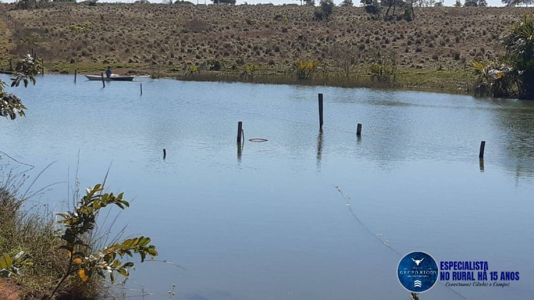 Imagem Fazenda à Venda, 75 m² em Zona Rural - Mozarlândia Imagem Fazenda à Venda, 75 m² em Zona Rural - Mozarlândia