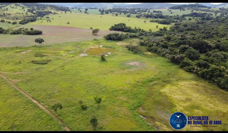 Imagem Fazenda à Venda, 30 m² em Zona Rural - Guapó Imagem Fazenda à Venda, 30 m² em Zona Rural - Guapó