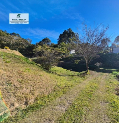 Imagem Chácara com 4 Quartos à Venda, 10.000 m² em Mailasqui - São Roque Imagem Chácara com 4 Quartos à Venda, 10.000 m² em Mailasqui - São Roque