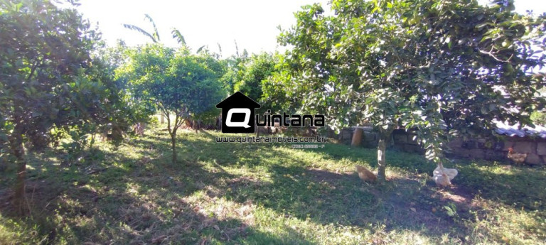 Imagem Imóvel com 1 Quarto à Venda, 230.000 m² em Santo Amor - Morro Redondo Imagem Imóvel com 1 Quarto à Venda, 230.000 m² em Santo Amor - Morro Redondo