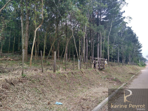 Imagem Terreno à Venda, 300 m² em Campestre - São Leopoldo