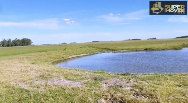 Imagem Imóvel com 3 Quartos à Venda, 25.000.000 m² em Prado - Santana Do Livramento
