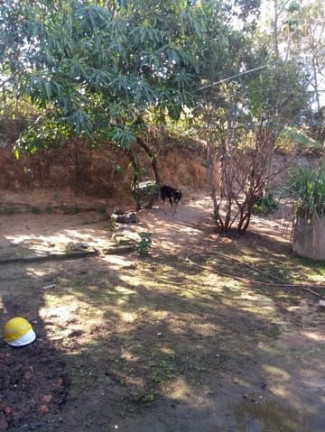 Imagem Casa com 2 Quartos à Venda, 30 m² em Cidade Jardim - Esmeraldas Imagem Casa com 2 Quartos à Venda, 30 m² em Cidade Jardim - Esmeraldas