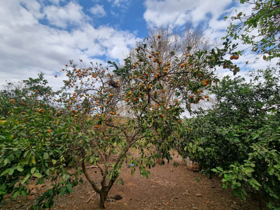 Imagem Fazenda à Venda, 9 m² em Interlândia - Anápolis Imagem Fazenda à Venda, 9 m² em Interlândia - Anápolis