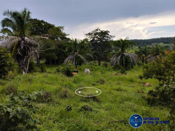 Imagem Chácara à Venda, 22 m² em Zona Rural - Iporá Imagem Chácara à Venda, 22 m² em Zona Rural - Iporá