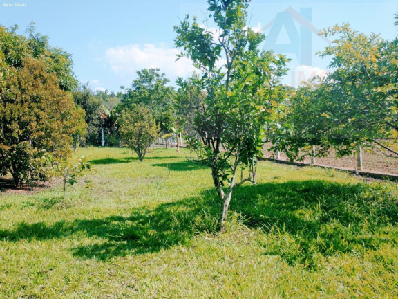 Imagem Chácara com 2 Quartos à Venda, 4.326 m² em Azurita