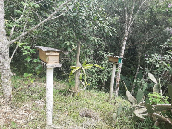 Imagem Chácara com 3 Quartos à Venda, 250 m² em Pouso Alto - Natividade Da Serra Imagem Chácara com 3 Quartos à Venda, 250 m² em Pouso Alto - Natividade Da Serra