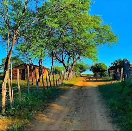 Imagem Chácara à Venda, 183 m² em Ponta Porã Imagem Chácara à Venda, 183 m² em Ponta Porã