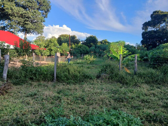Imagem Chácara à Venda, 35 m² em Arapongas Imagem Chácara à Venda, 35 m² em Arapongas