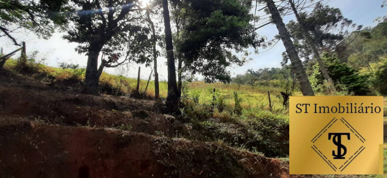 Imagem Chácara com 3 Quartos à Venda, 72.000 m² em Estância Santa Maria Do Portão - Atibaia