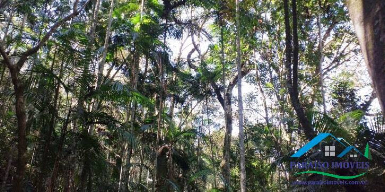 Imagem Chácara à Venda, 155 m² em Centro - Paraisópolis Imagem Chácara à Venda, 155 m² em Centro - Paraisópolis