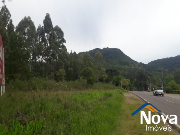 Imagem Imóvel à Venda, 10.211 m² em Linha Araripe - Nova Petrópolis Imagem Imóvel à Venda, 10.211 m² em Linha Araripe - Nova Petrópolis