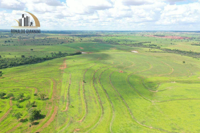 Imagem Fazenda à Venda, 18.150.000 m² em Jardim Monterey - Jales