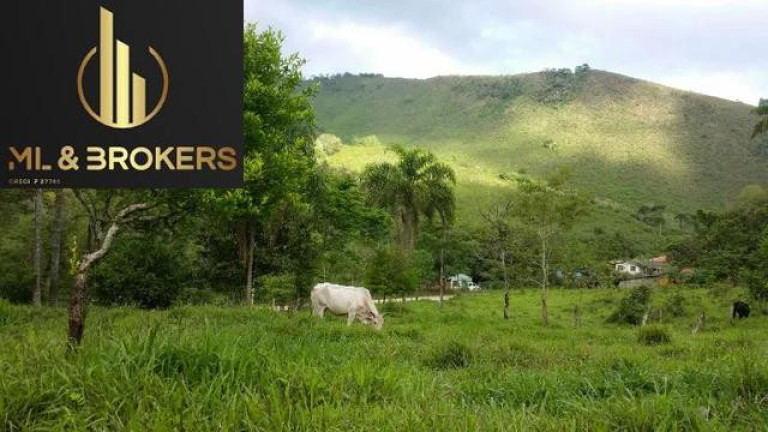 Imagem Imóvel com 2 Quartos à Venda, 24.000 m² em Pinhalzinho - Adrianopolis Imagem Imóvel com 2 Quartos à Venda, 24.000 m² em Pinhalzinho - Adrianopolis