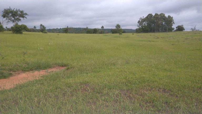 Imagem Fazenda à Venda, 42 m² em Rural - Avaré