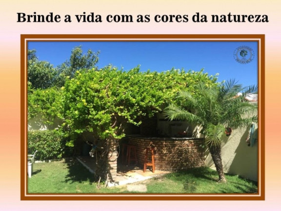 Imagem Casa com 4 Quartos à Venda, 490 m² em Iguape - Aquiraz