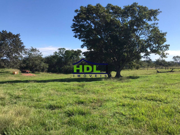 Imagem Fazenda à Venda,  em Zona Rural - Tesouro