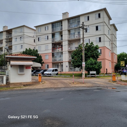 Imagem Apartamento com 3 Quartos à Venda, 70 m² em Parque Villa Flores - Sumaré Imagem Apartamento com 3 Quartos à Venda, 70 m² em Parque Villa Flores - Sumaré