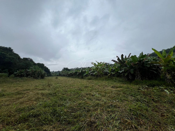 Imagem Terreno à Venda, 75.000 m² em Nova Campo Grande - Cariacica