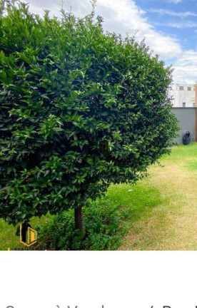 Imagem Casa com 4 Quartos à Venda, 313 m² em Trevo - Belo Horizonte Imagem Casa com 4 Quartos à Venda, 313 m² em Trevo - Belo Horizonte