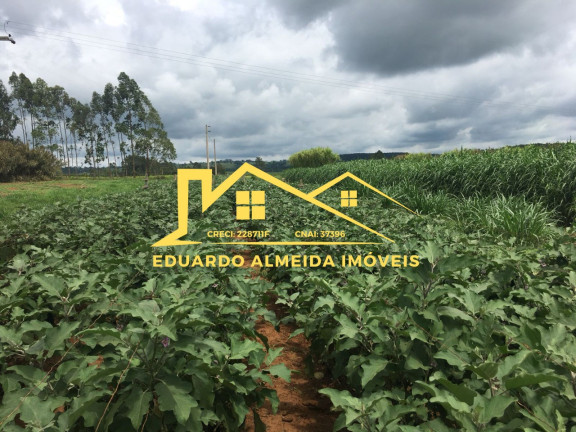 Imagem Imóvel com 2 Quartos à Venda, 2 m² em Centro - Gramadinho