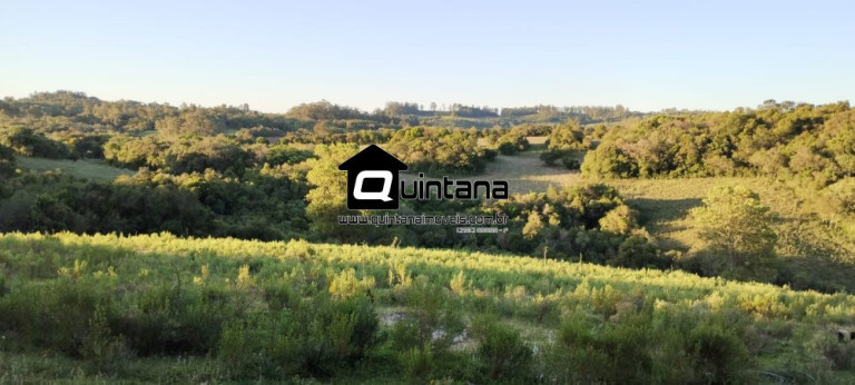 Imagem Imóvel com 1 Quarto à Venda, 230.000 m² em Santo Amor - Morro Redondo Imagem Imóvel com 1 Quarto à Venda, 230.000 m² em Santo Amor - Morro Redondo