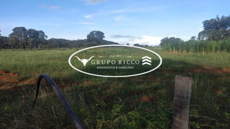 Imagem Fazenda à Venda, 218 m² em Zona Rural - Fazenda Nova Imagem Fazenda à Venda, 218 m² em Zona Rural - Fazenda Nova