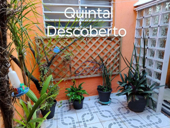 Imagem Casa com 3 Quartos à Venda, 160 m² em Instituto De Previdência - São Paulo