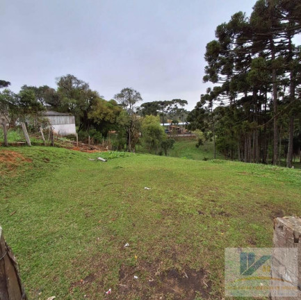Imagem Terreno à Venda, 1.600 m² em Colonia Murici - São José Dos Pinhais Imagem Terreno à Venda, 1.600 m² em Colonia Murici - São José Dos Pinhais